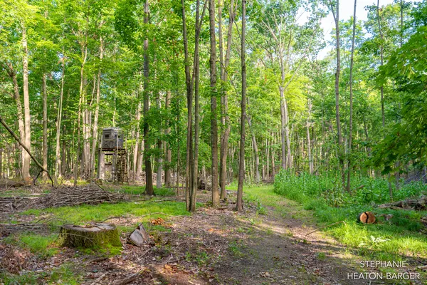 $145,000 | 10365 East Klees Road, Crystal, MI 48818