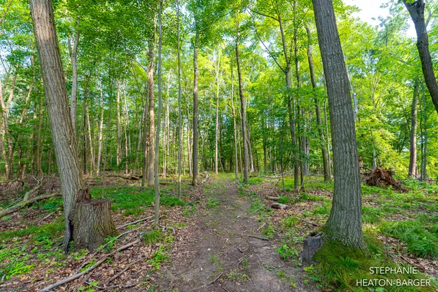 $169,900 | 10365 East Klees Road, Crystal, MI 48818