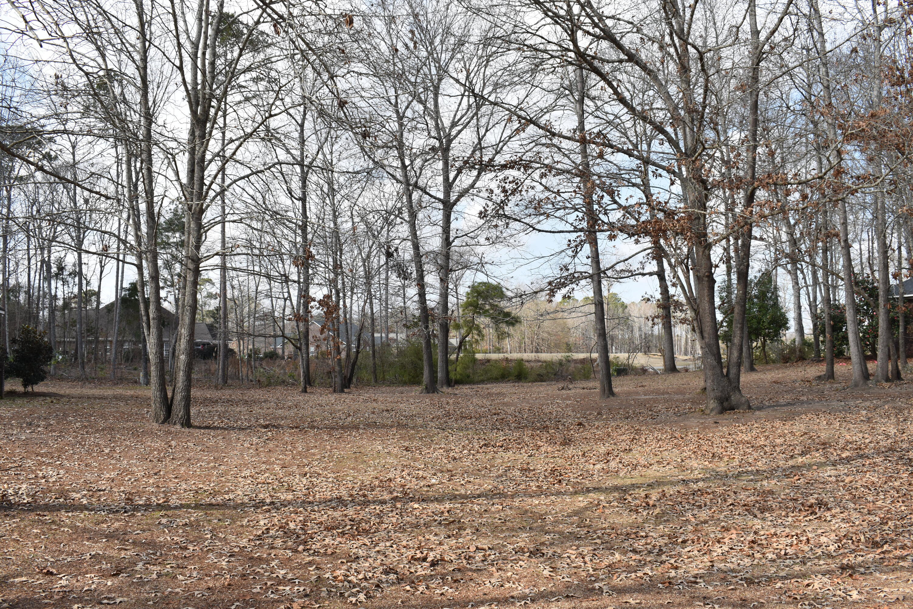 50 North Lake Circle Manning, SC 29102 - Photo 3 of 15 DSC_0078