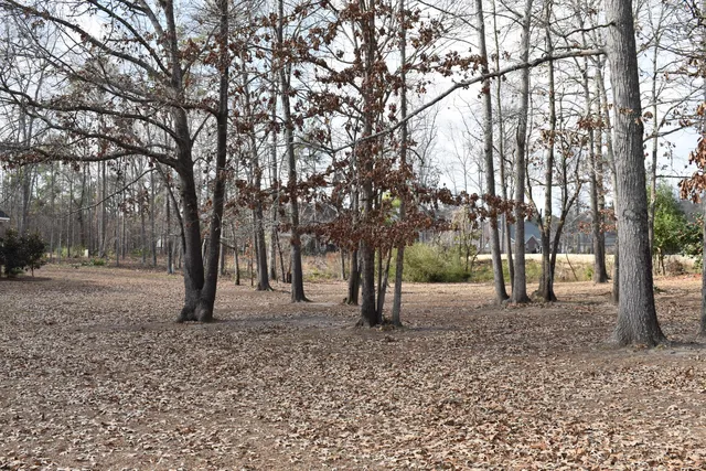 $28,000 | 50 North Lake Circle, Manning, SC 29102