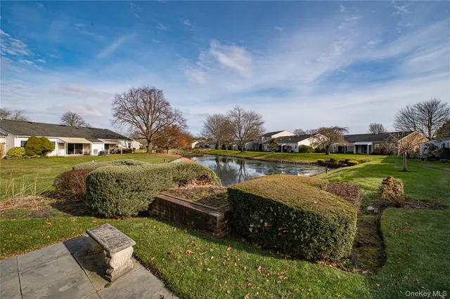 a view of a garden with lawn chairs