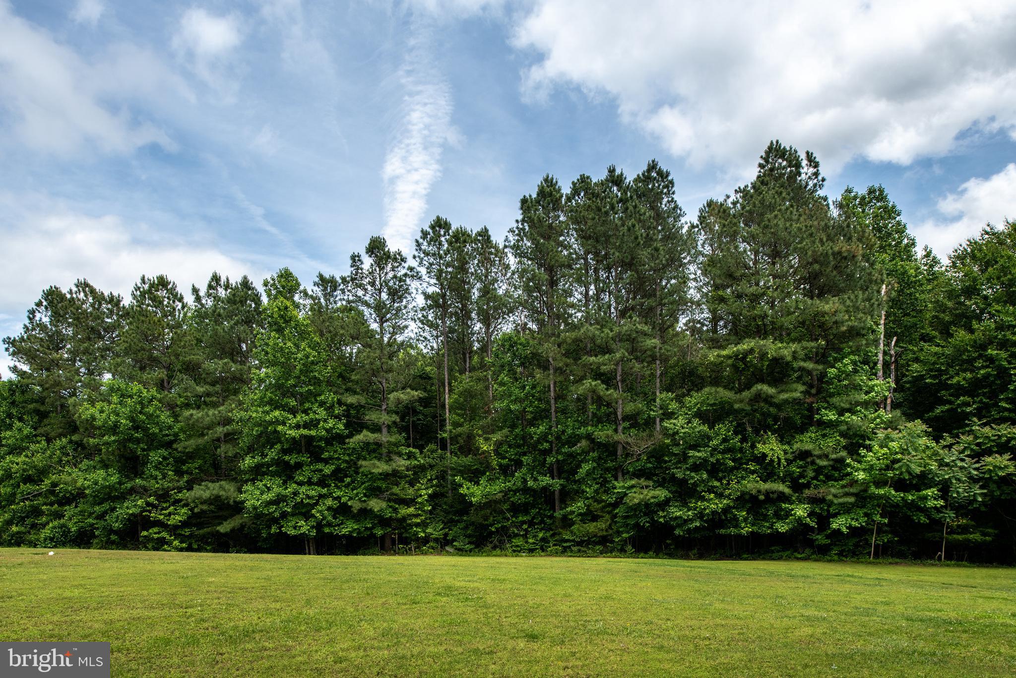 17140 Wolftrap Road King George, VA 22485 - Photo 19 of 74 Gallery Image 19