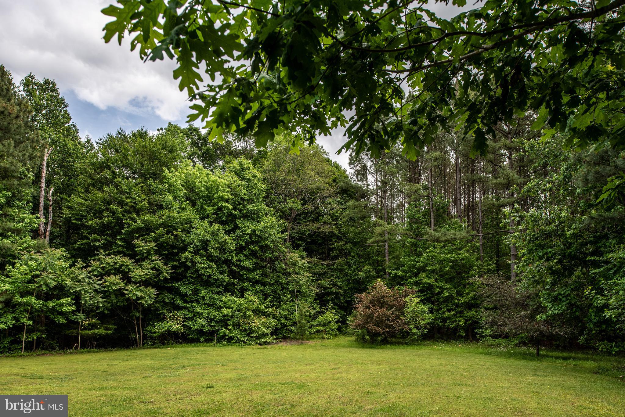 17140 Wolftrap Road King George, VA 22485 - Photo 20 of 74 Gallery Image 20