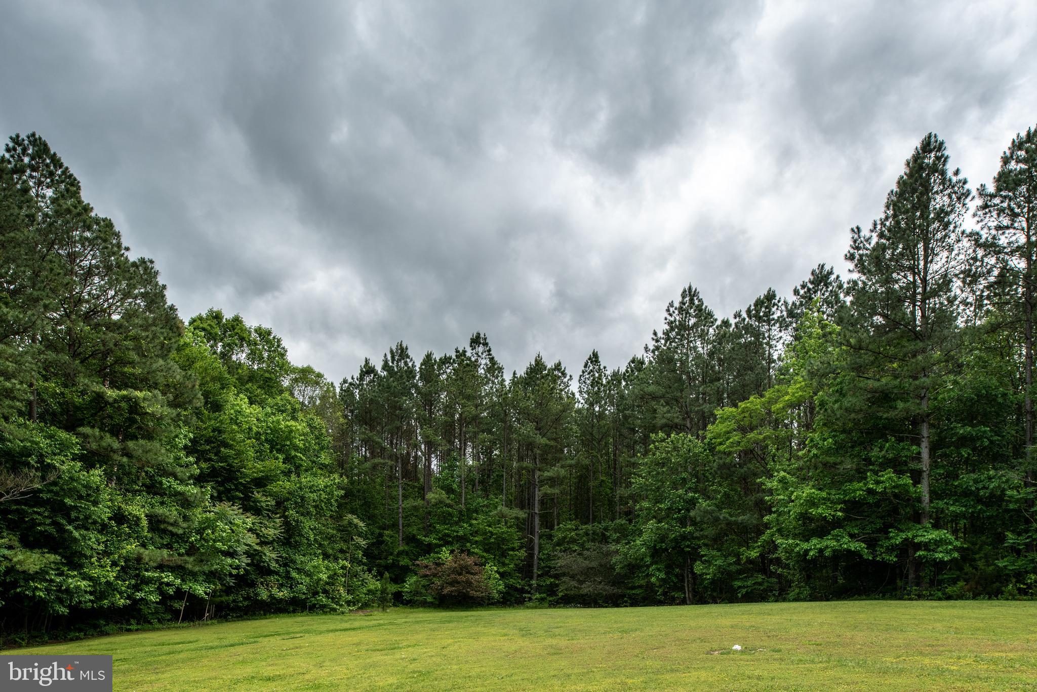 17140 Wolftrap Road King George, VA 22485 - Photo 22 of 74 Gallery Image 22