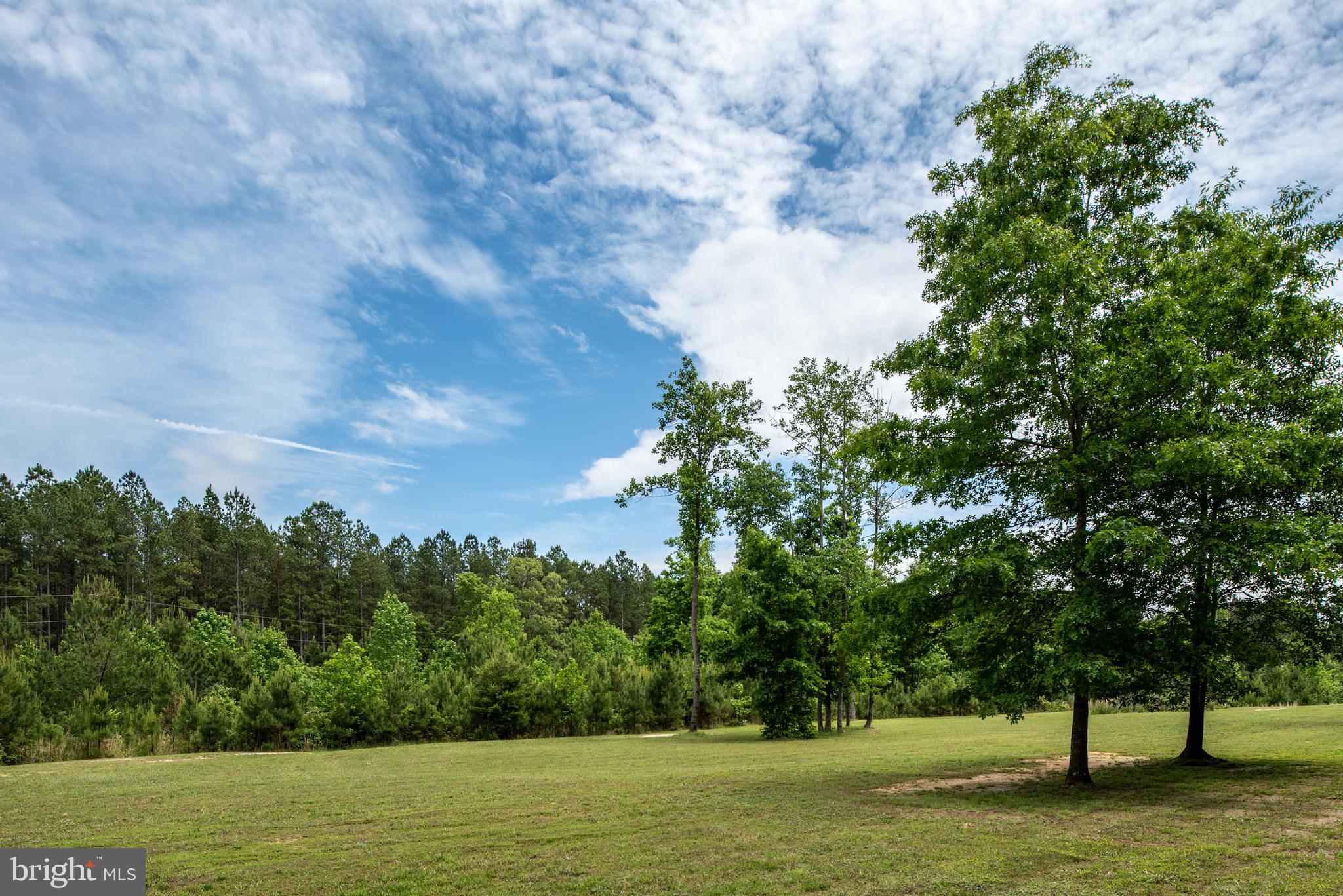 17140 Wolftrap Road King George, VA 22485 - Photo 26 of 74 Gallery Image 26