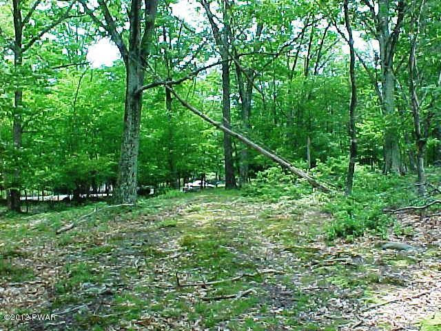 East Shore Road Hawley, PA 18428 - Photo 4 of 6