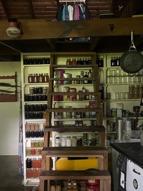 223 Turner Sims Road Hohenwald, TN 38462 - Photo 22 of 59 Gallery Image 22