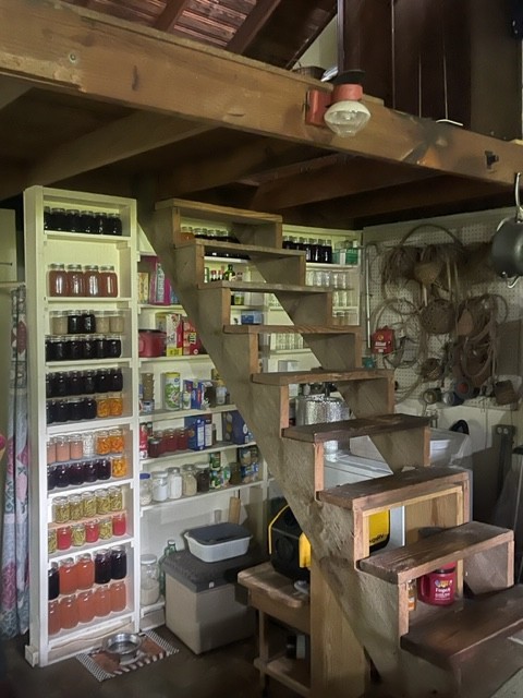 223 Turner Sims Road Hohenwald, TN 38462 - Photo 23 of 59 Gallery Image 23