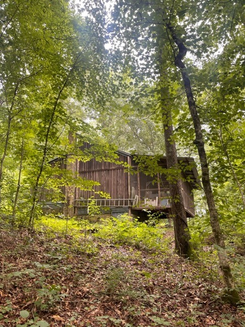 223 Turner Sims Road Hohenwald, TN 38462 - Photo 3 of 59 Gallery Image 3