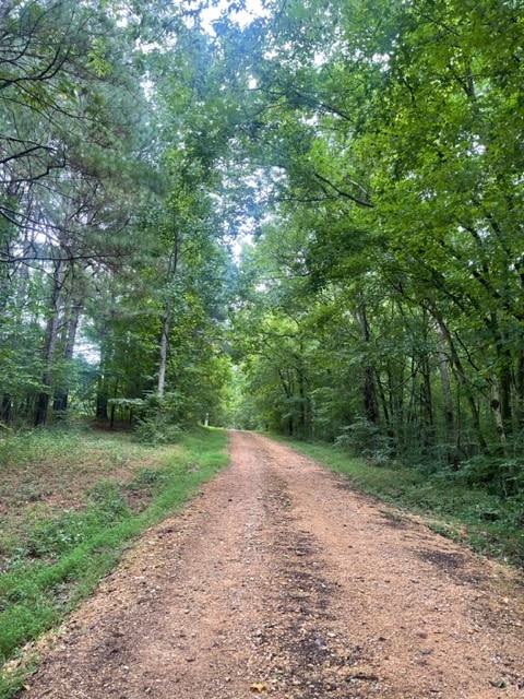 223 Turner Sims Road Hohenwald, TN 38462 - Photo 32 of 59 Gallery Image 32