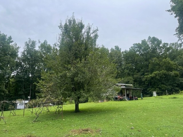 223 Turner Sims Road Hohenwald, TN 38462 - Photo 36 of 59 Gallery Image 36