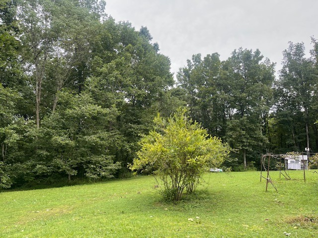 223 Turner Sims Road Hohenwald, TN 38462 - Photo 37 of 59 Gallery Image 37