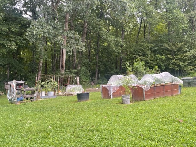 223 Turner Sims Road Hohenwald, TN 38462 - Photo 59 of 59 Gallery Image 59