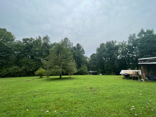 223 Turner Sims Road Hohenwald, TN 38462 - Photo 8 of 59 Gallery Image 8