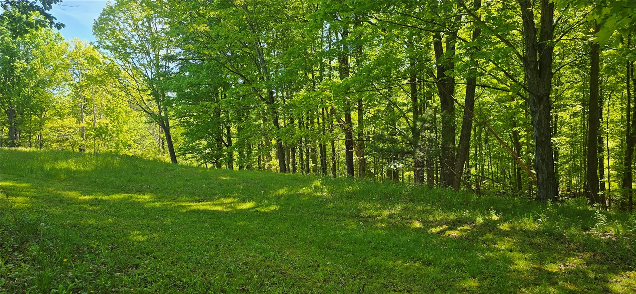324 Murphy Hill Road Catlin, NY 14845 - Photo 20 of 47
