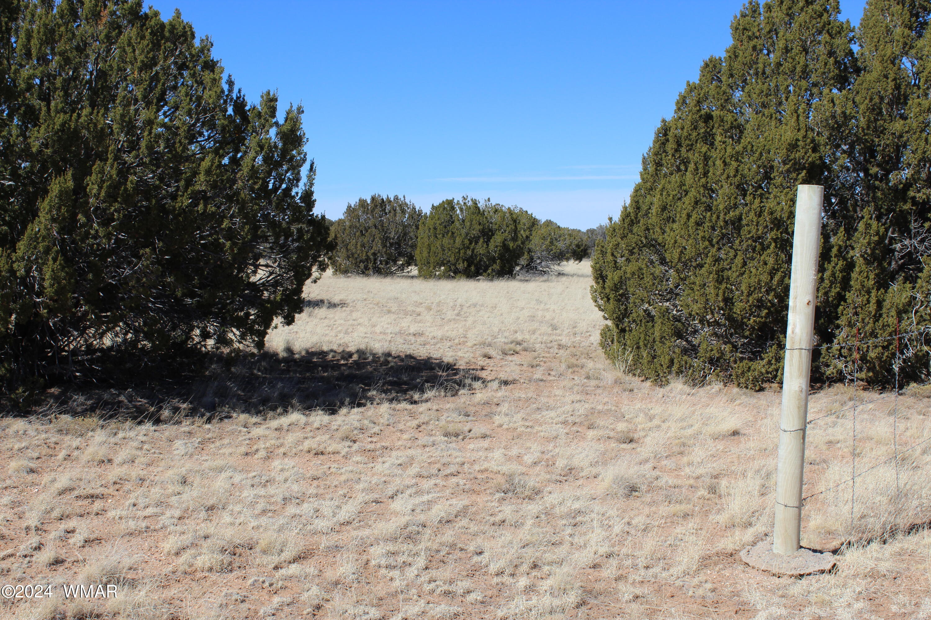 25 T15n R15e: Ne4 Se4 Heber, AZ 85928 - Photo 3 of 4