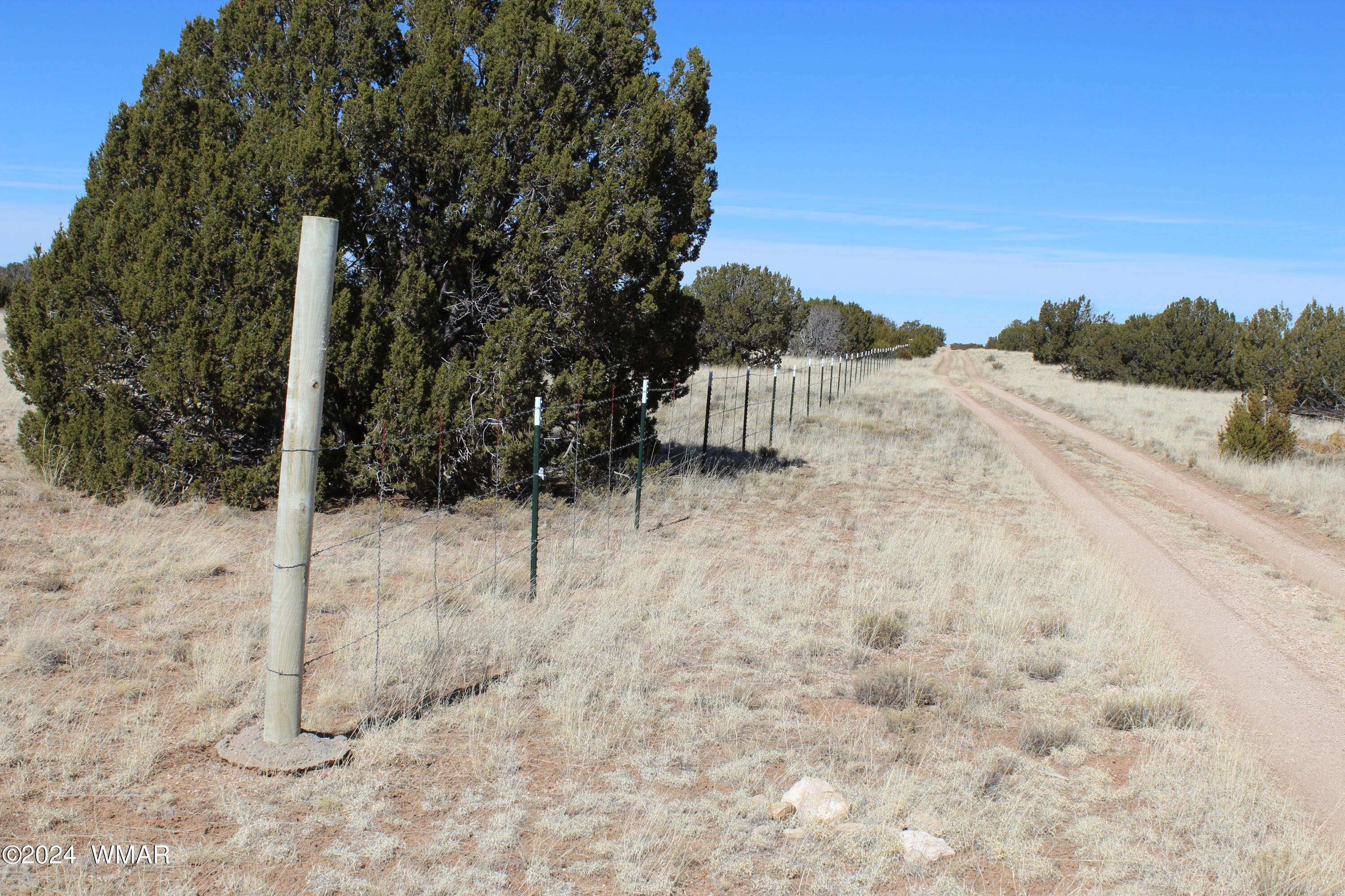 25 T15n R15e: Ne4 Se4 Heber, AZ 85928 - Photo 4 of 4