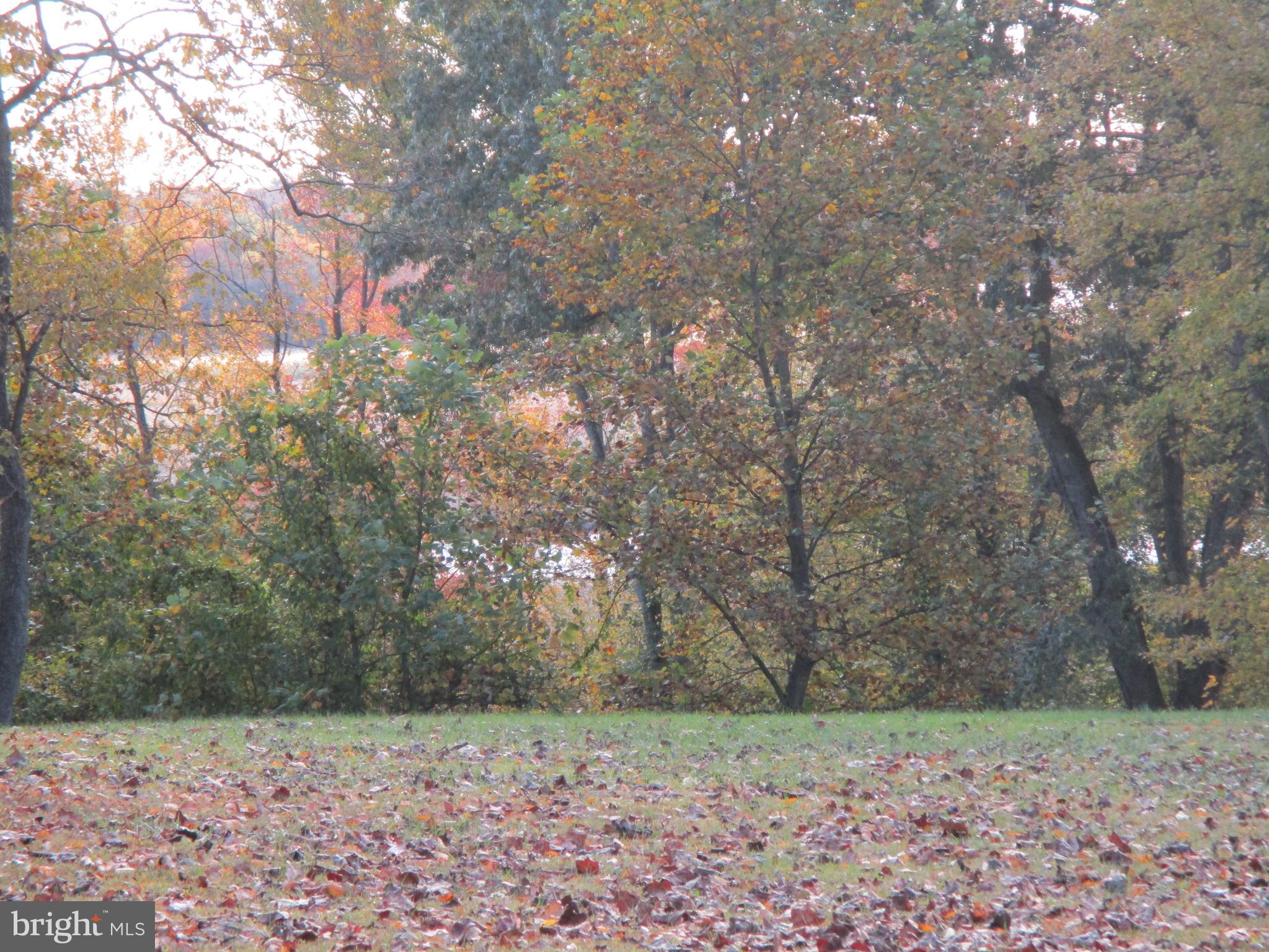Beautiful View Lot Oldfield Point Road Elkton, MD 21921 - Photo 29 of 44