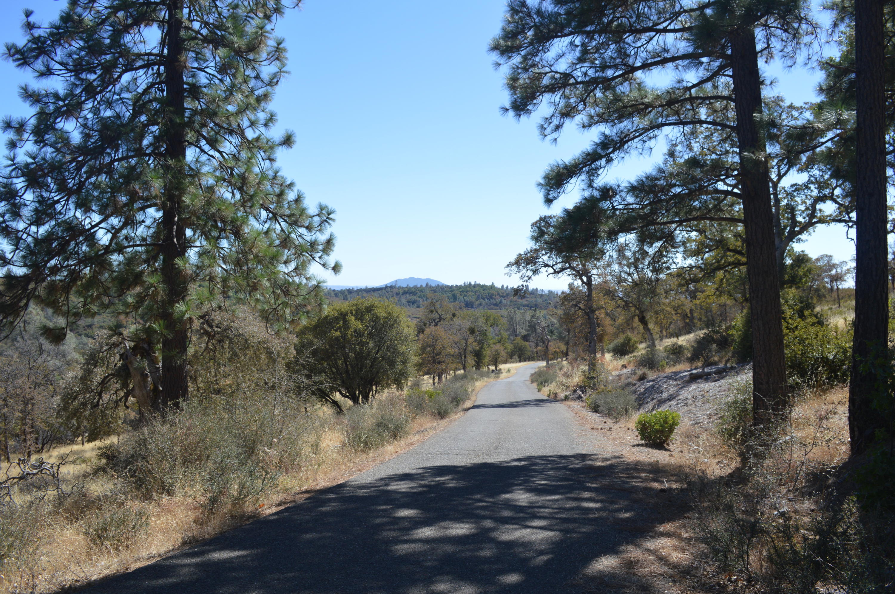 30049 Shingletown Ridge Road Shingletown, CA 96088 - Photo 1 of 28 Road to ranch