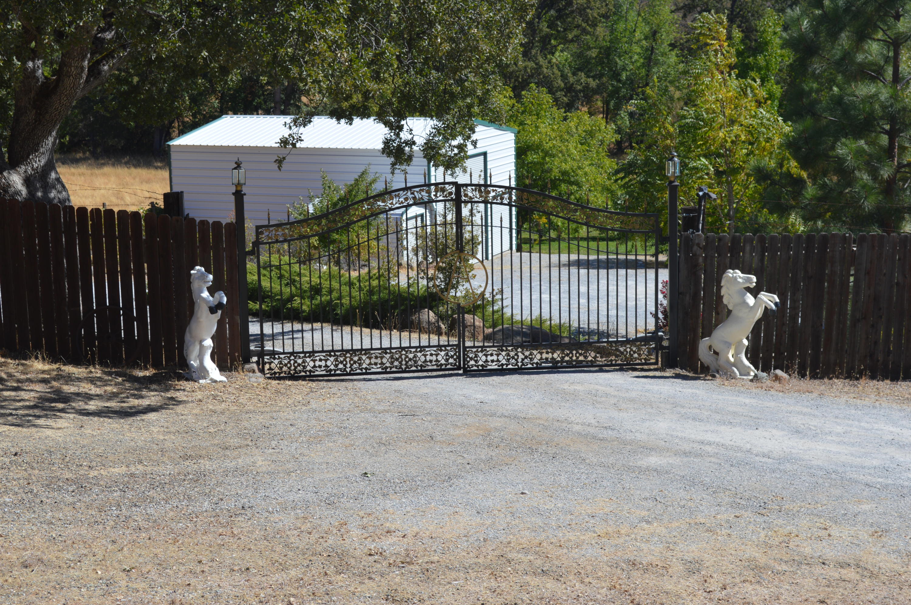 30049 Shingletown Ridge Road Shingletown, CA 96088 - Photo 19 of 28 DSC_0330