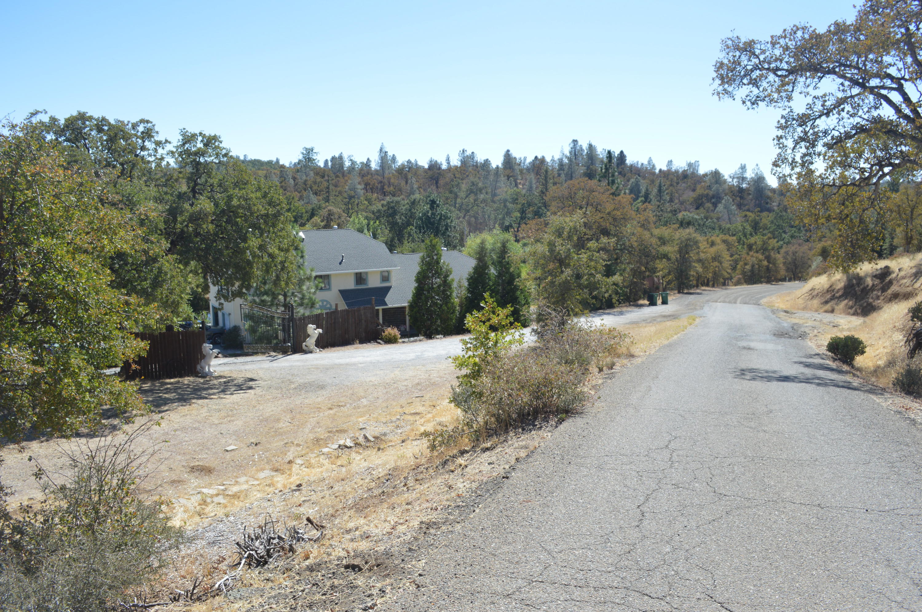 30049 Shingletown Ridge Road Shingletown, CA 96088 - Photo 2 of 28 Road in front of home