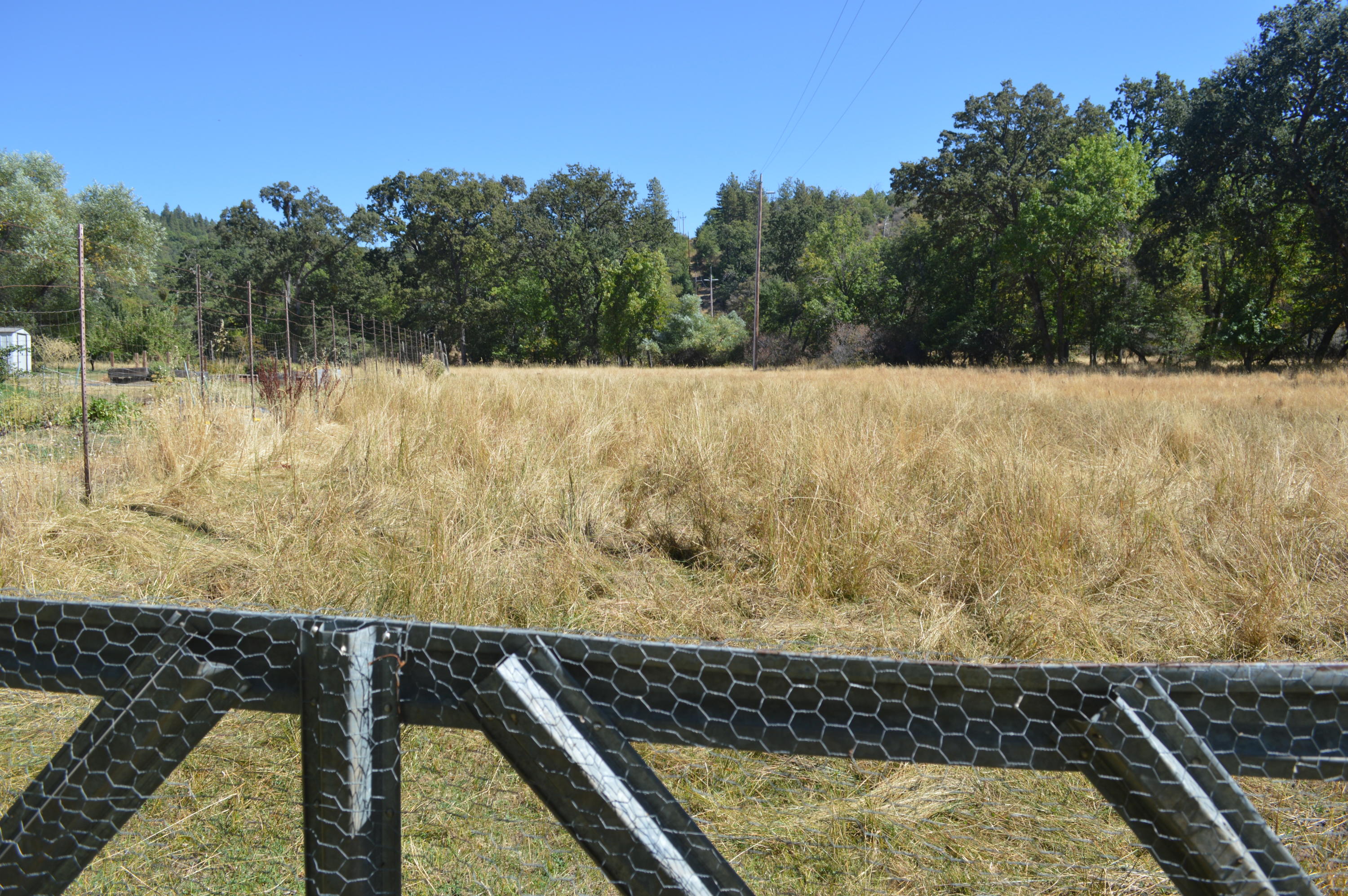 30049 Shingletown Ridge Road Shingletown, CA 96088 - Photo 26 of 28 View of one of the Pastures