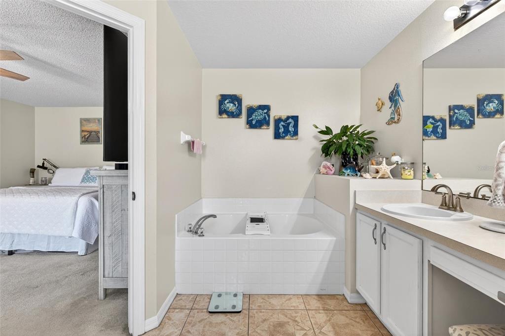 341 Mariners Gate Drive Edgewater, FL 32141 - Photo 25 of 53 a bathroom with a tub a sink and mirror