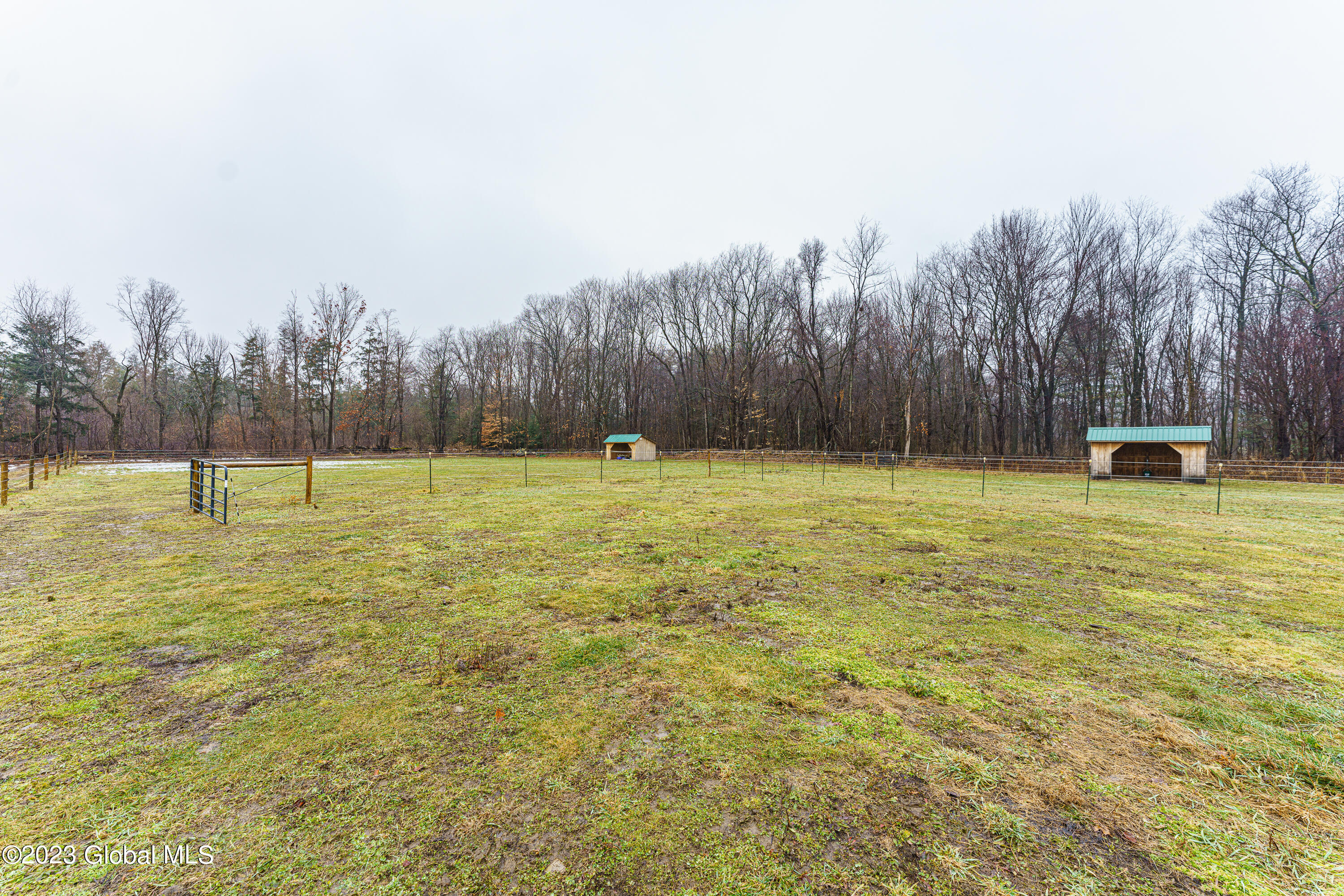 357 Hop City Road Ballston, NY 12020 - Photo 45 of 61 Yard 17