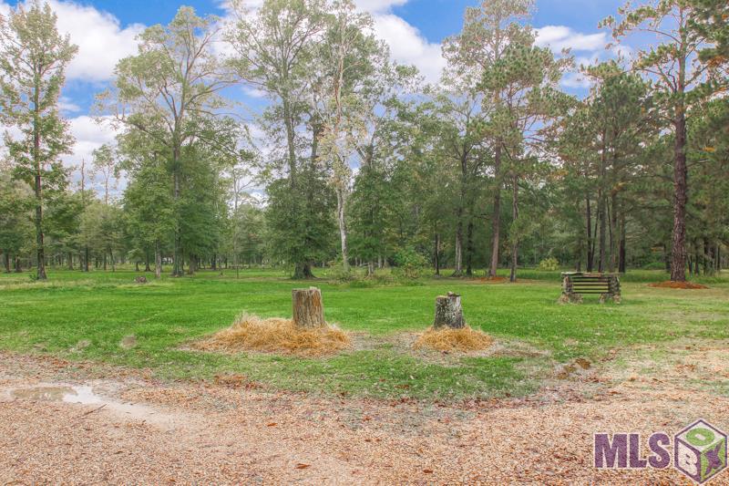 11497 Herman Ernest Road Denham Springs, LA 70706 - Photo 1 of 1 Gallery Image 1
