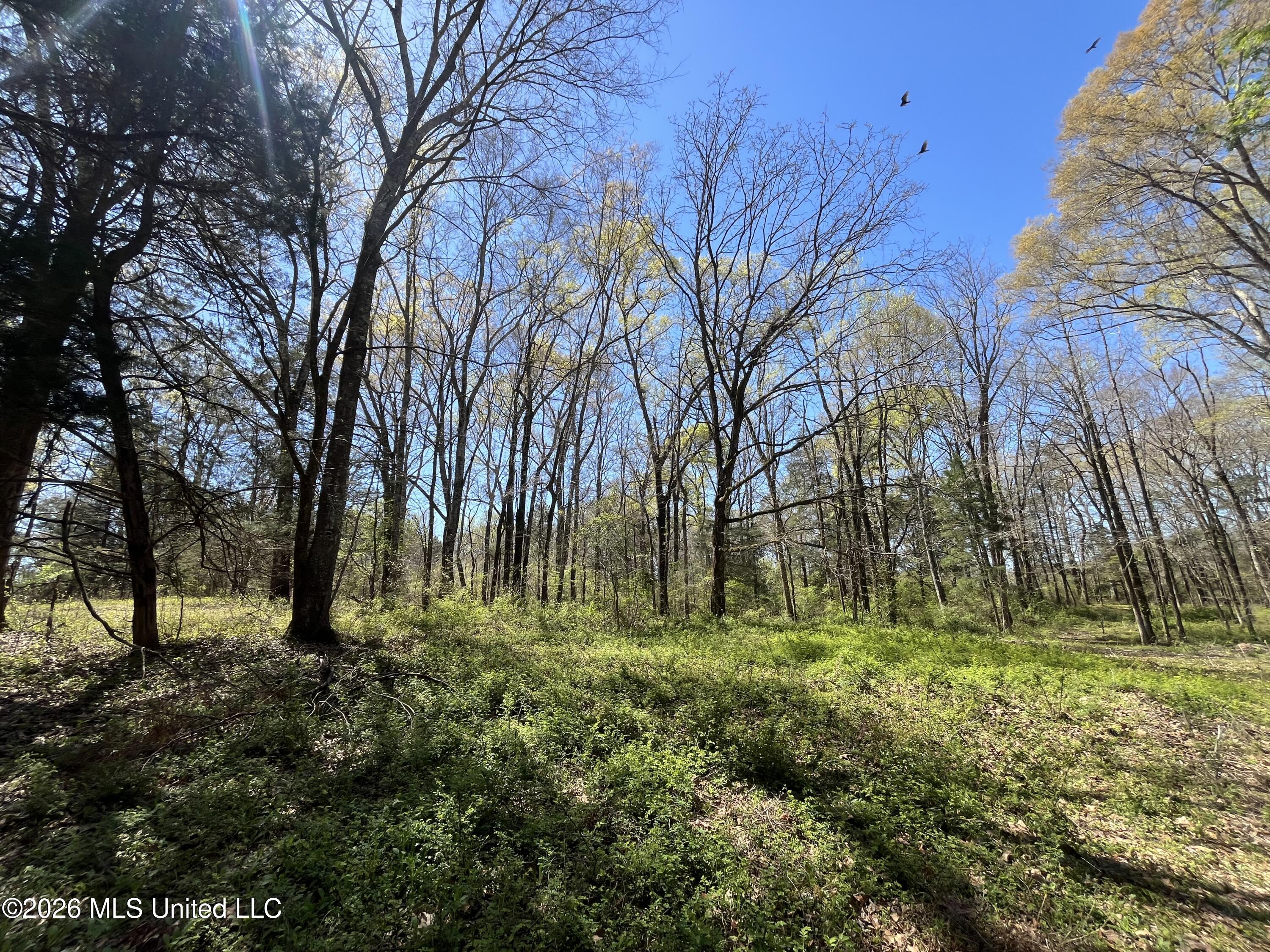 Raymond Bolton Road Bolton, MS 39041 - Photo 13 of 14 IMG_2918