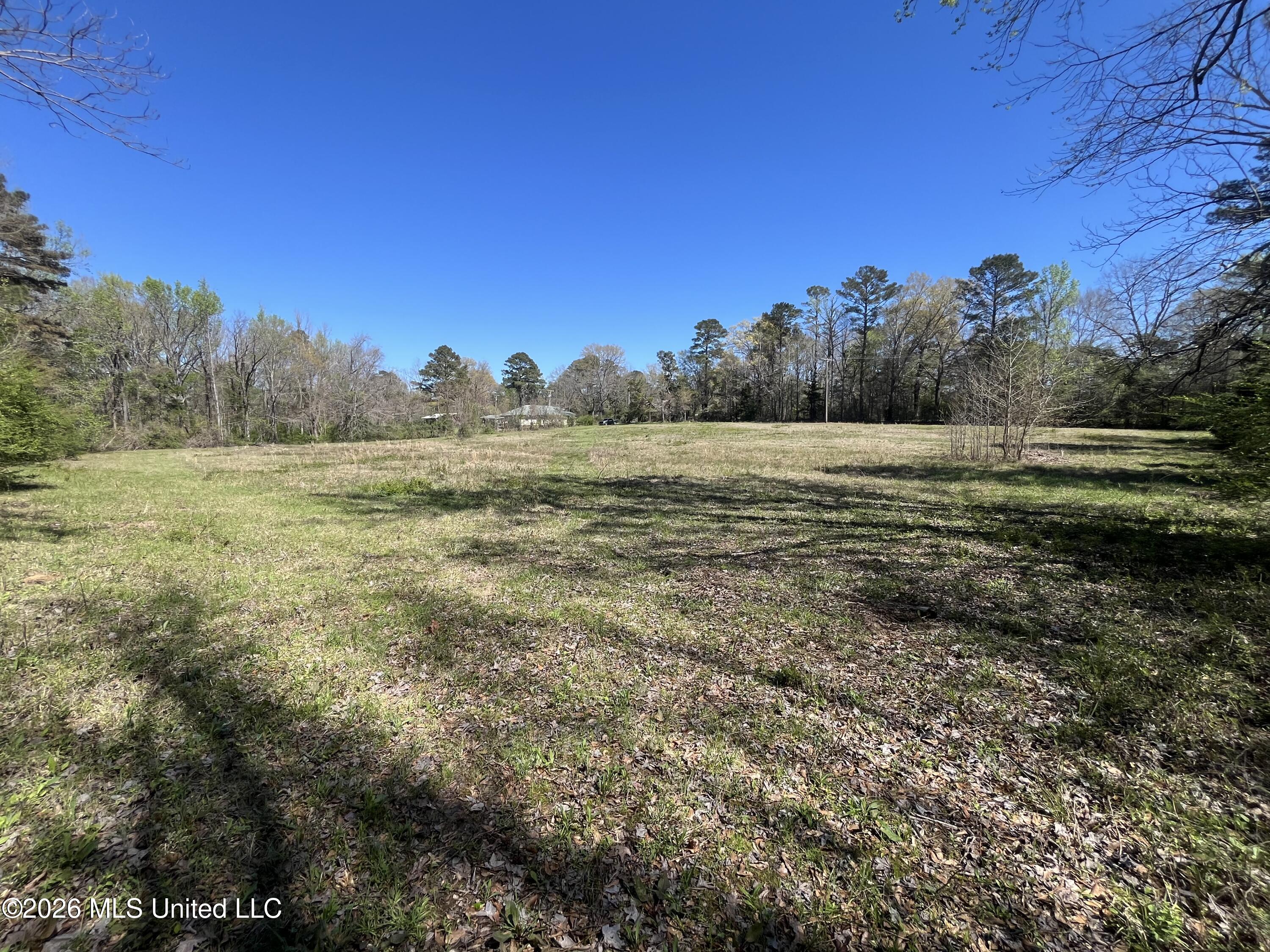 Raymond Bolton Road Bolton, MS 39041 - Photo 3 of 14 IMG_2914