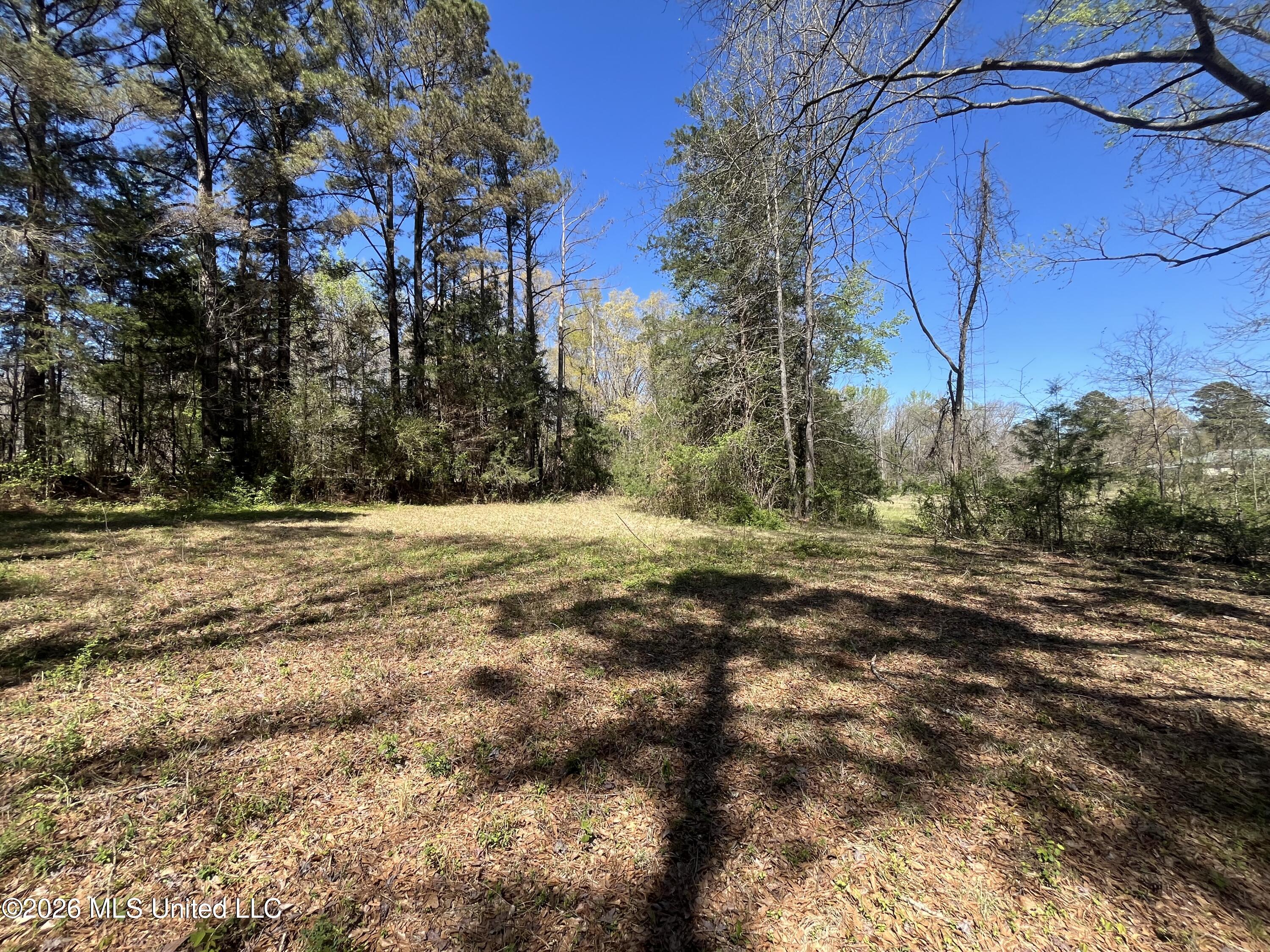Raymond Bolton Road Bolton, MS 39041 - Photo 4 of 14 IMG_2912