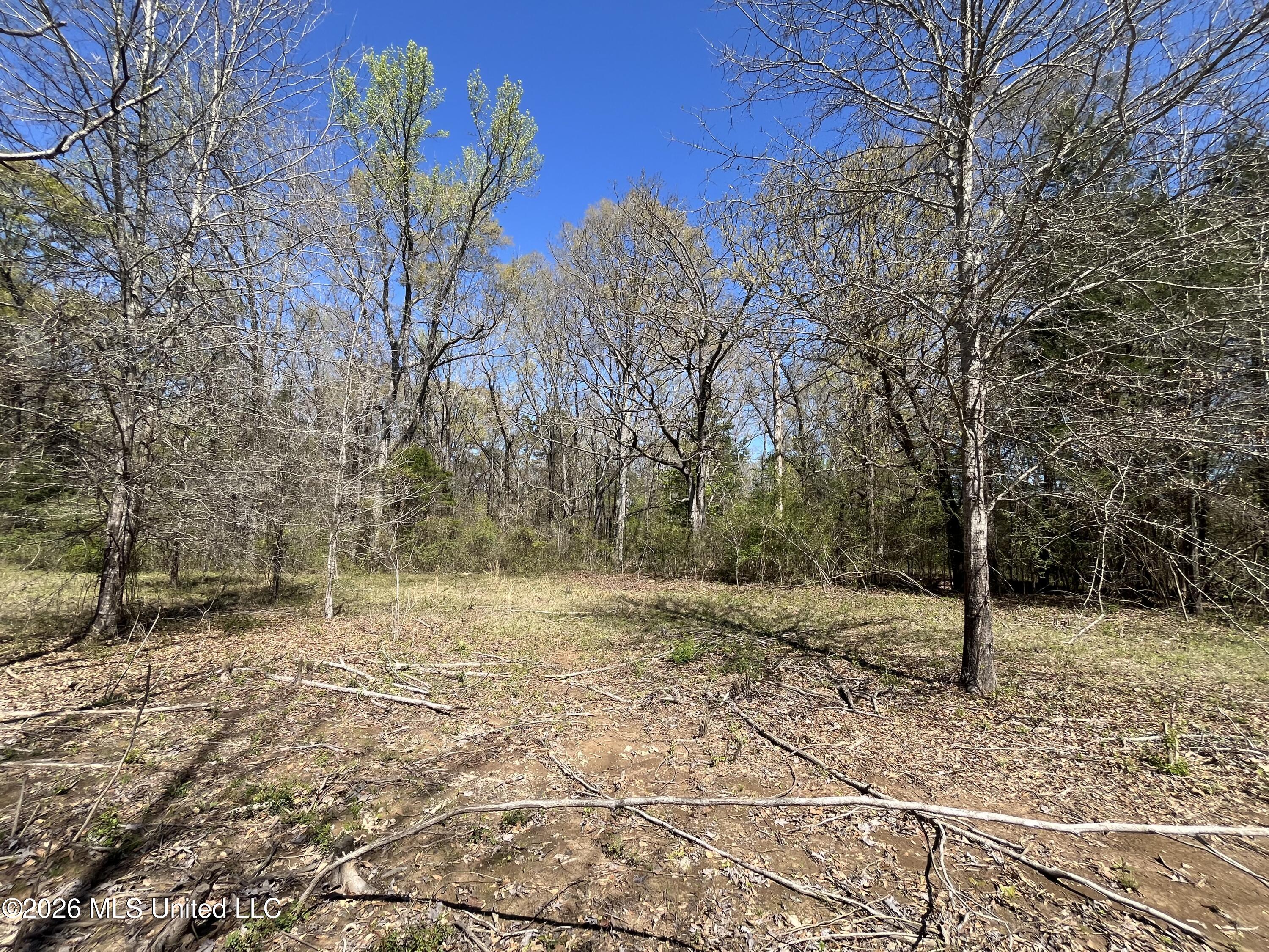 Raymond Bolton Road Bolton, MS 39041 - Photo 5 of 14 IMG_2911