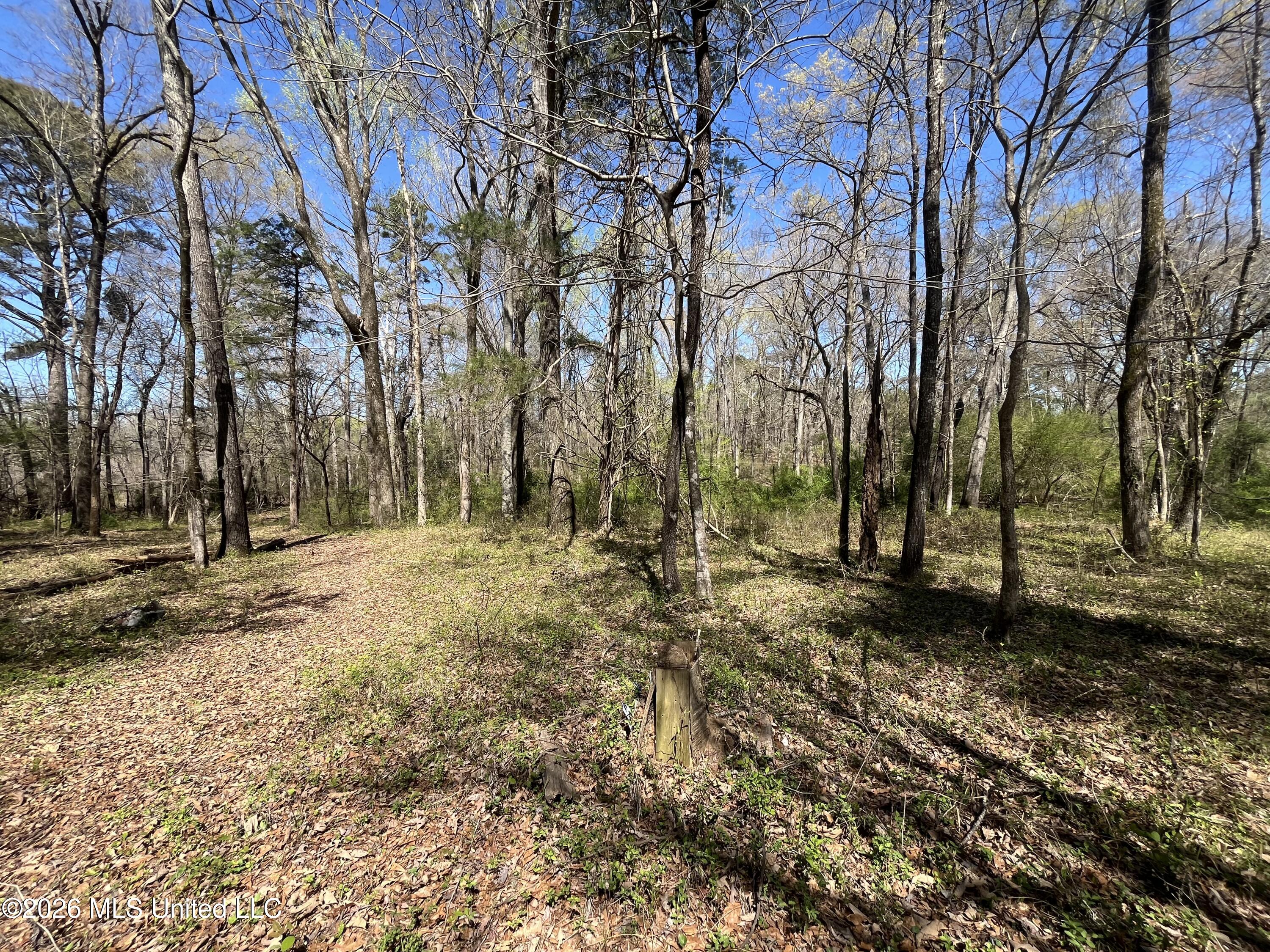 Raymond Bolton Road Bolton, MS 39041 - Photo 8 of 14 IMG_2909