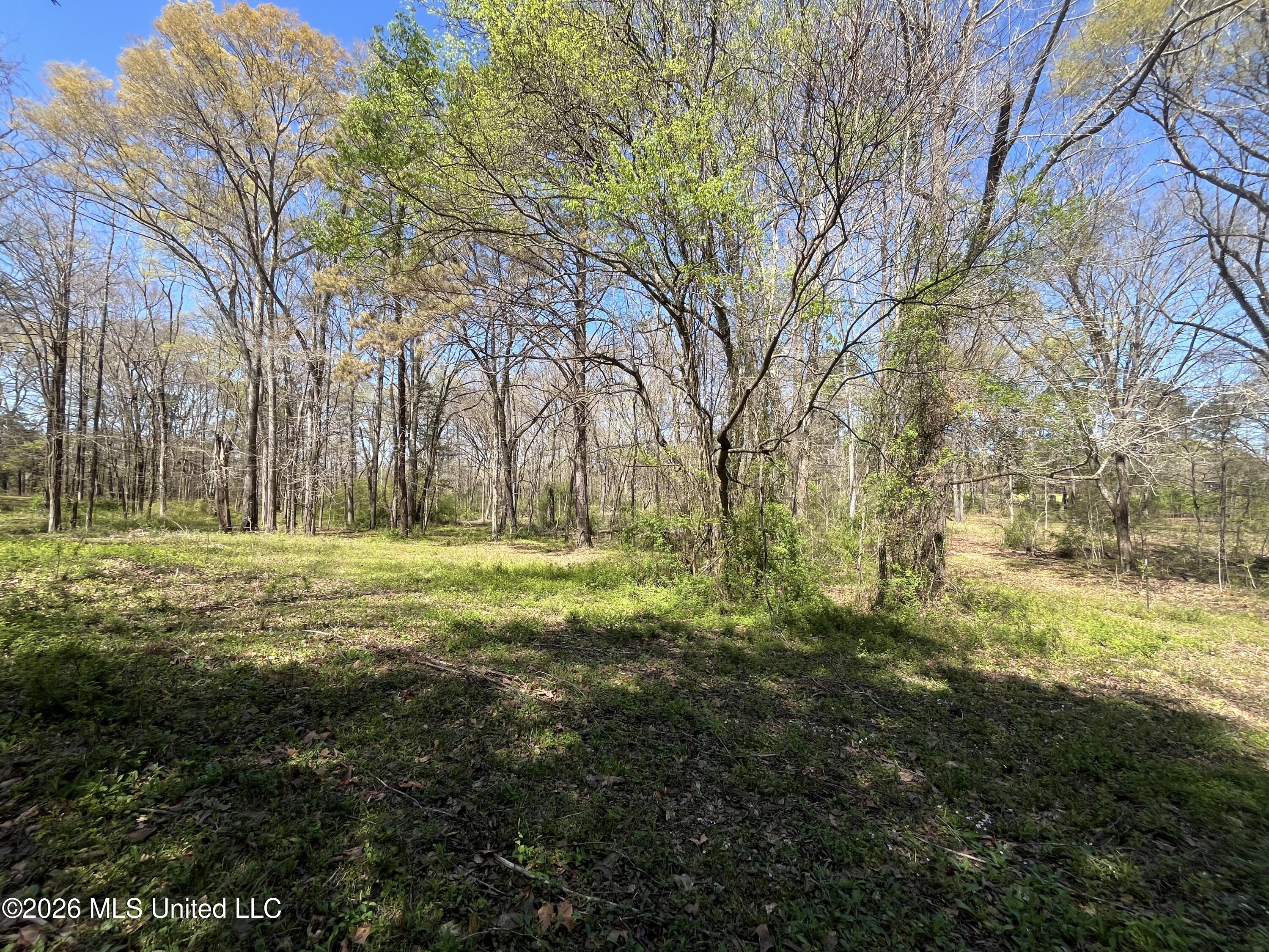 Raymond Bolton Road Bolton, MS 39041 - Photo 9 of 14 IMG_2906