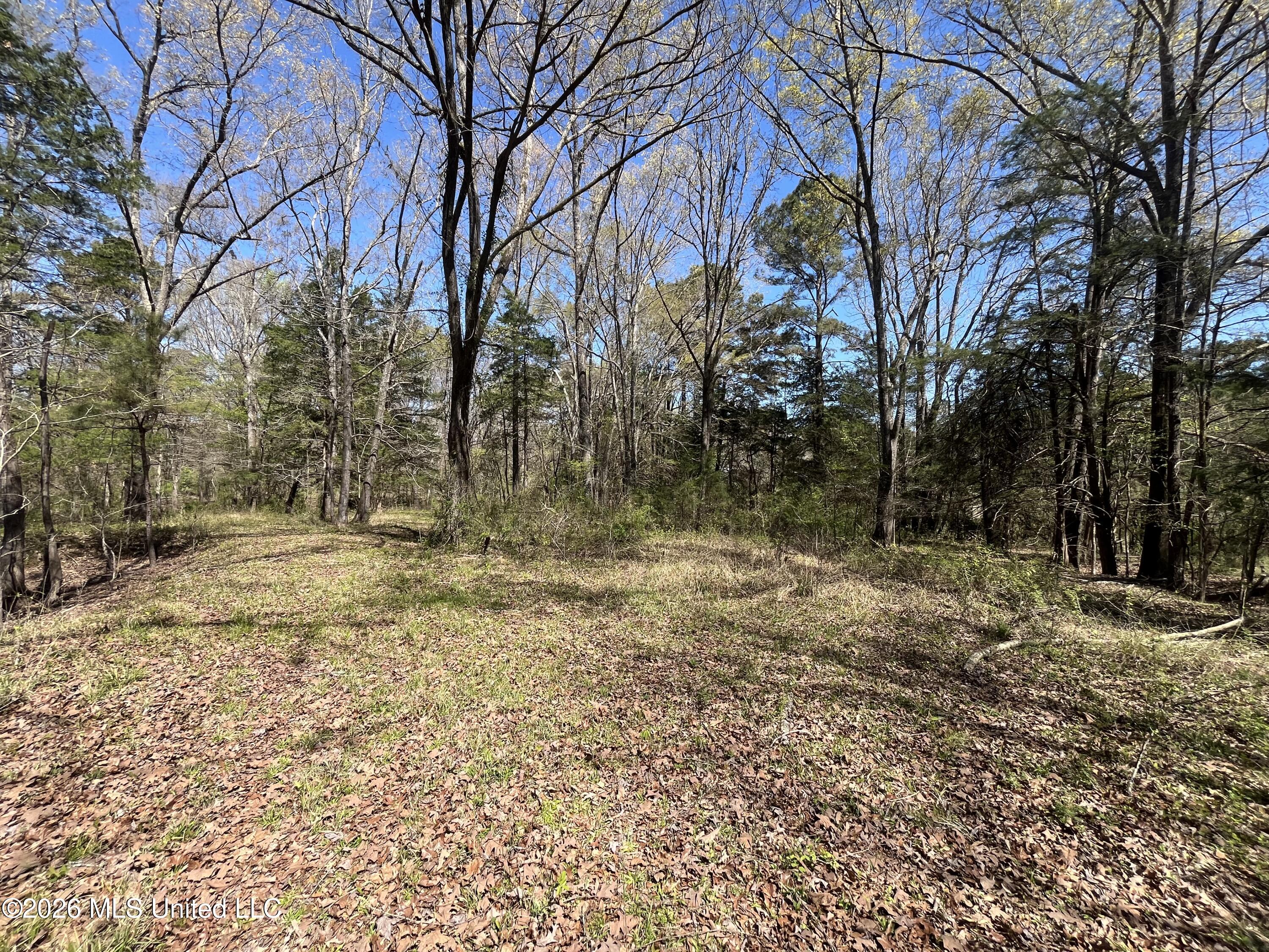 Raymond Bolton Road Bolton, MS 39041 - Photo 10 of 14 IMG_2915