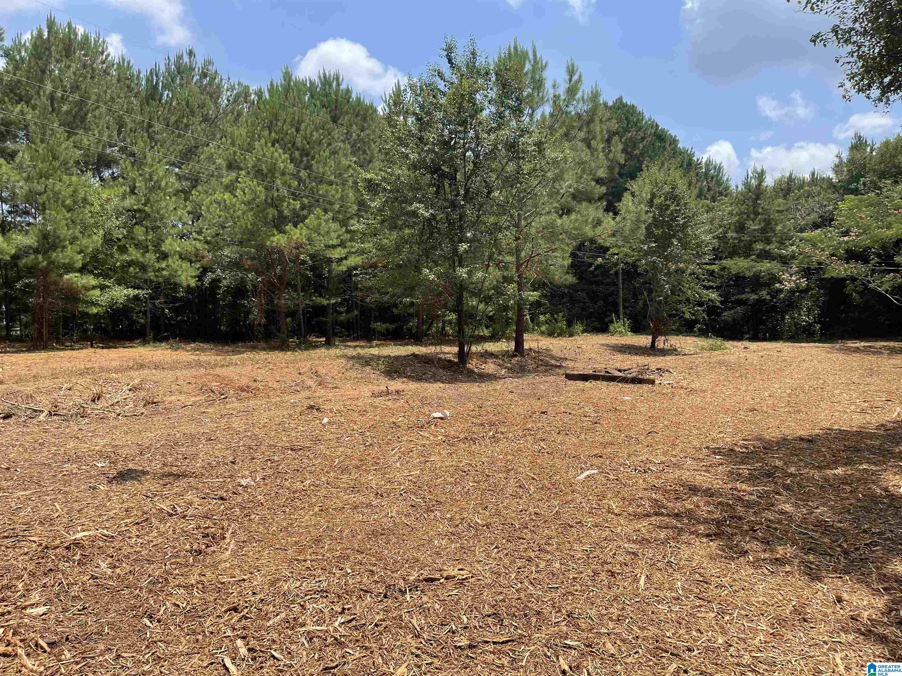 218 County Road 700 Cullman, AL 35055 - Photo 1 of 1