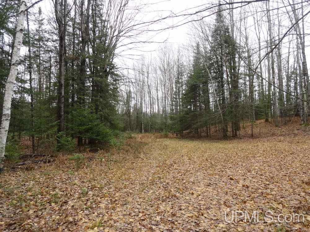 6784 32nd Road Rapid River, MI 49878 - Photo 28 of 36 Gallery Image 28
