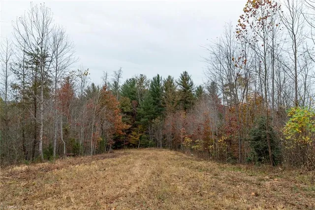 $933,225 | 421 Ferguson Nc 28624, Ferguson, NC 28624