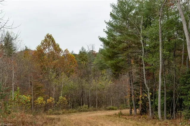 $933,225 | 421 Ferguson Nc 28624, Ferguson, NC 28624