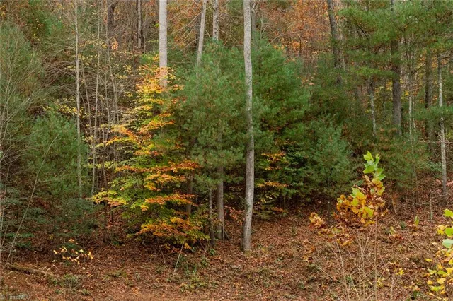 $933,225 | 421 Ferguson Nc 28624, Ferguson, NC 28624