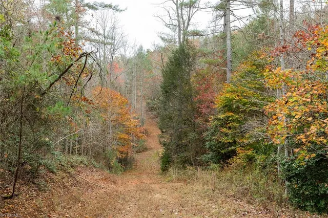 $933,225 | 421 Ferguson Nc 28624, Ferguson, NC 28624