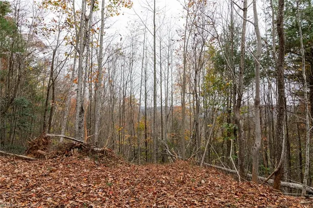 $933,225 | 421 Ferguson Nc 28624, Ferguson, NC 28624