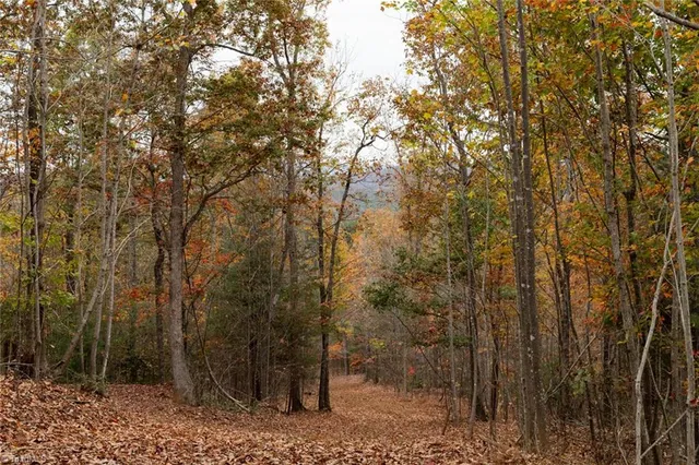 $933,225 | 421 Ferguson Nc 28624, Ferguson, NC 28624