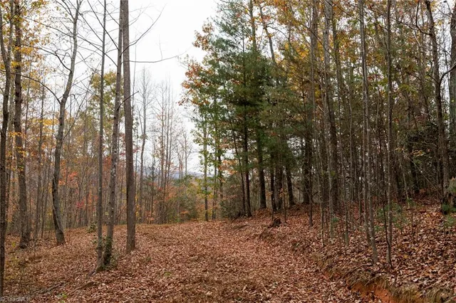 $933,225 | 421 Ferguson Nc 28624, Ferguson, NC 28624