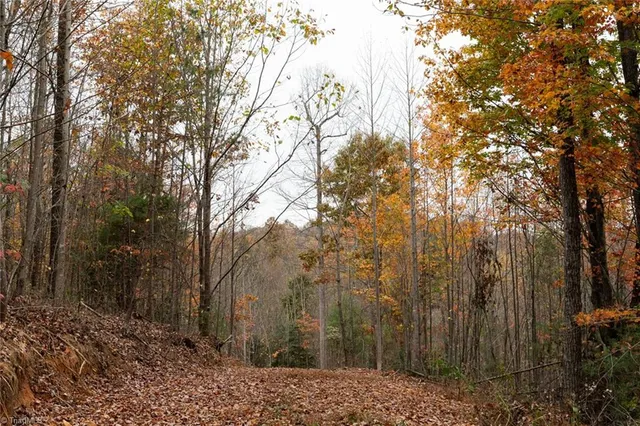 $933,225 | 421 Ferguson Nc 28624, Ferguson, NC 28624