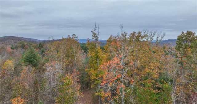 $933,225 | 421 Ferguson Nc 28624, Ferguson, NC 28624