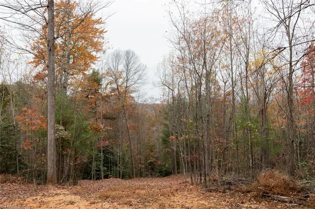 $933,225 | 421 Ferguson Nc 28624, Ferguson, NC 28624