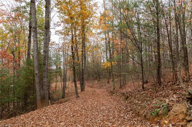 $933,225 | 421 Ferguson Nc 28624, Ferguson, NC 28624