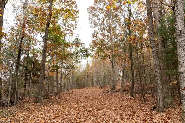 $933,225 | 421 Ferguson Nc 28624, Ferguson, NC 28624